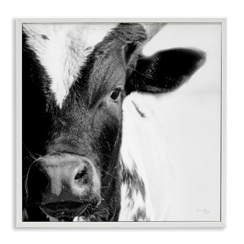 Rural Farm Cow Close Up Photography, 12 x 12 Inch Framed Giclée Print