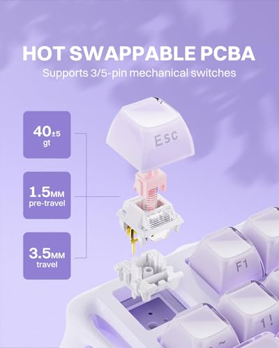 Mechanical Keyboard Wireless Hot-Swappable