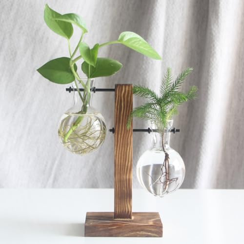 Glas-Pflanzgefäß, Blumenzwiebel-Vase, Desktop Air Plant Terrarium Kit mit Retro Massivholz Ständer, Pflanze Anzuchtstationen Terrarium for Indoor Wasserpflanzen Home Garden Office Dekoration Zubehör