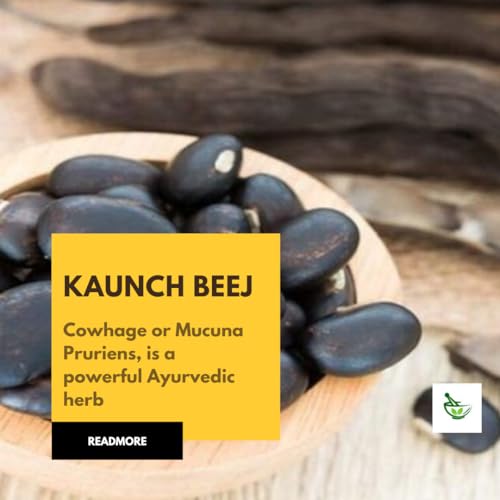 Image of Namo Black kauch beej 250gm (sabut) - Raw Whole Velvet Beans, Kaunch