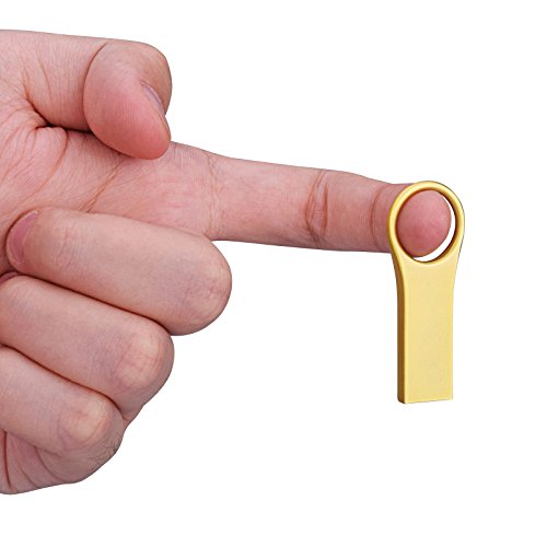 KEXIN Chiavetta USB 2.0 32GB Pendrive Impermeabile...