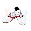 Taekwondo Schoenen,Taekwondo Boksen Schoenen Gym Martial Arts Schoenen Voor Volwassenen (Color : White, Size : 40 EU)