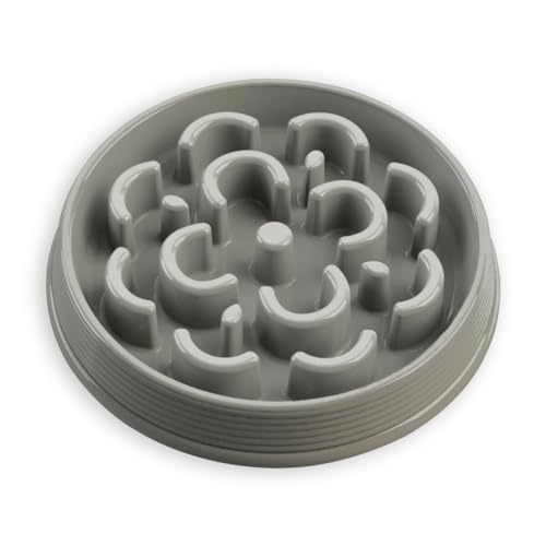 A{[hz[EFA _I Hh~ H  MTCY O[ ^ a юM ybgt[h{E ~ H@Ή  ɂ vX`bN BPAt[ PFWSB5098MFE