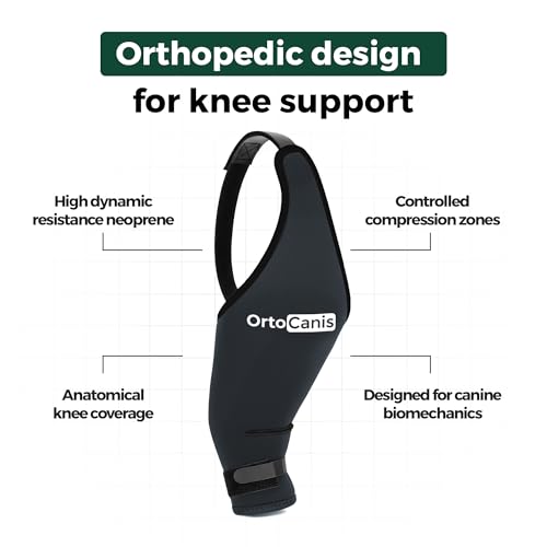 Ortocanis - Kniebandage Hund Hinterbein für das rechte Bein - Hergestellt aus Neopren ARD - Bei Kreuzbandriss, Bänderverletzungen, Patellaluxation oder Osteoarthritis - Größe Medium (11,5-12,2')