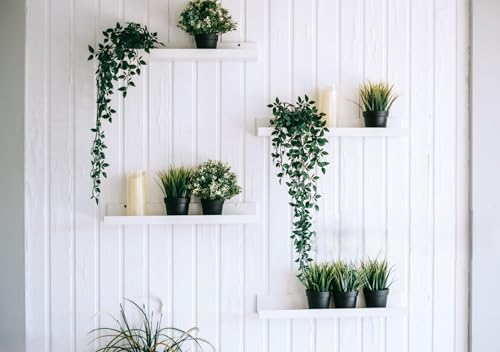 Image of PAPERI Hanging Plants Leaves, Artificial Plants with Pot, Small Faux Plants, Mini Artificial Plant for Indoor Home Decor, Office Table, Wall, Window, Book Shelf, Living Room, Bathroom(Plastic, Pc-1)