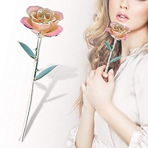 Ejoyous Mothers Day Rose Gift for Mom 24K Gold Dipped Pink White Rose Forever Preserved Rose Flower with Crystal Stand for Valentines Day Christmas Birthday Anniversary