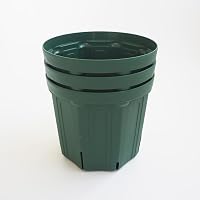 ITANSE スリット鉢 7号 3個セット