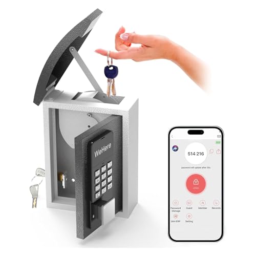 キー ロック ボックス 使用 OTP/固定 パスワード/アンロック メタル デジタル コンビネーション コード ロック ボックス キー ボックス ウォール マウント 外側 ハウス キー シェア/ストレージ セキュリティ用 最適 不動産業者 請負業者 学校用 キー ボック