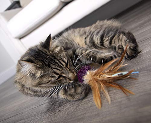 Petlinks Tweet Thing Electronic Sound Cat Toy, Battery Powered - Purple, One Size #TOP7