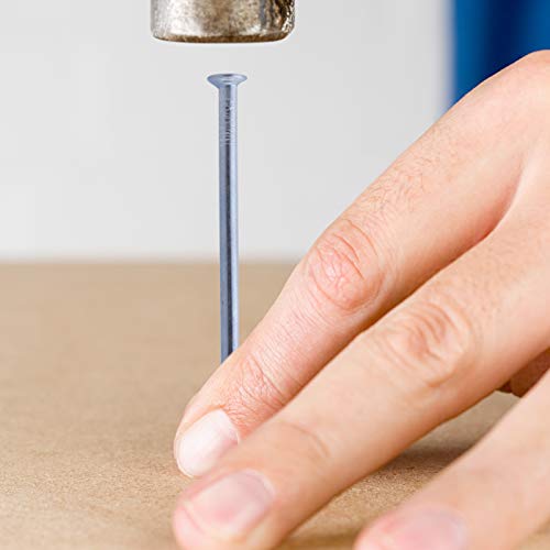 Maexxna 1080Pcs Nail Assortment Kit, Small Nails, Nails, Nails For Hanging Pictures, Picture Hanging Nails, Finishing Nails, Hanging Nails, Picture Nails, Wall Nails For Hanging, Pin Nails #TOP4