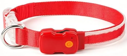 Domigard LED Leuchthalsband Hund, USB wiederaufladbar & wasserdicht | LED Hundehalsband mit 3 Leuchtmodi, verstellbar 38-50cm, für mittlere & große Hunde, Ideal für Nachtspaziergän