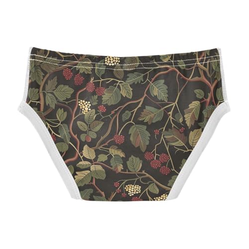 visesunny Boys Potty Training Underwear Plant Berry Motif Breathe Cotton Briefs Size 2T-8Y for Toddler2