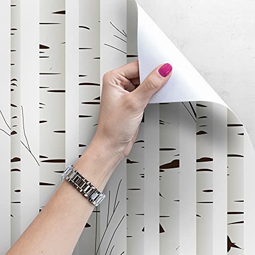 Papier Peint Magic-Stick Arbre de Bouleau Stickers Meuble Lavable