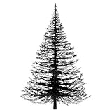  Tampon transparent \