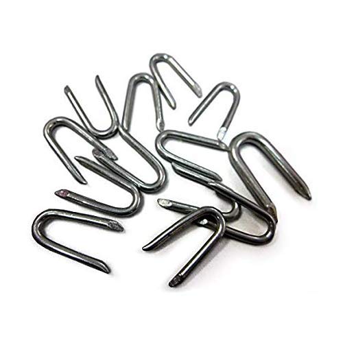 Galvanised U Nails - Presser Point Staples Fencing Post Wire Mesh 20/25/30/40/50mm - Carbon Steel (100, 30mm x 3.35mm)