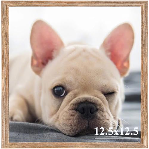 RUN HELIX 12.5x12.5 Picture Frames,Simple Designed Photo Frame,Certificate Document Frame for Horizontal and Vertical Formats,12.5x12.5 Poster Photo Frame Wall Gallery Home Office Decor,Brow