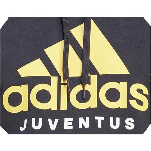 adidas 2023-2024 Juventus DNA Hooded Top (Black)