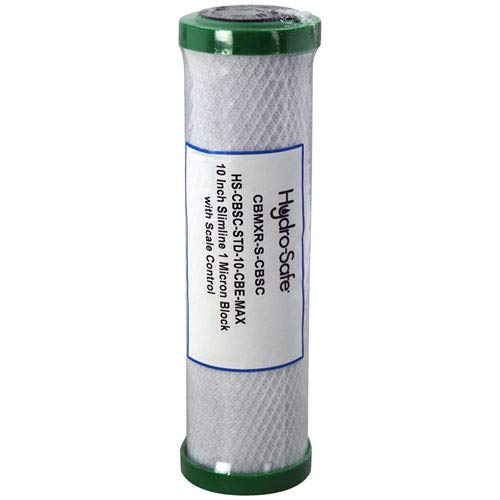 Dormont CBMXR-S-CBSC Replacement Filter - HS-CBSC-STD-10-CBE-MAX for Dormont - Part# CBMXR-S-CBSC (CBMXR-S-CBSC)