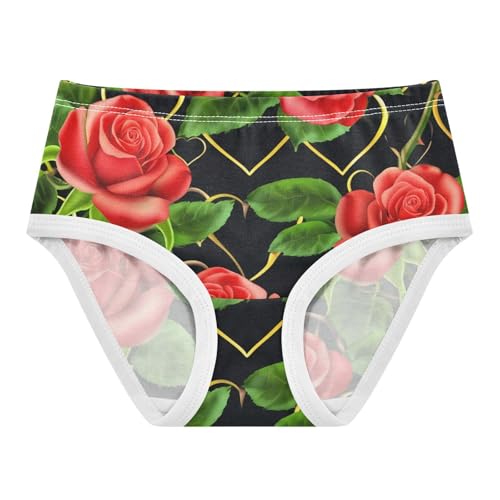 Fun Print Toddler Underwear Floral 2t Cotton Panties for Girl Red Roses Green Leaves Black Briefs Kids Undies