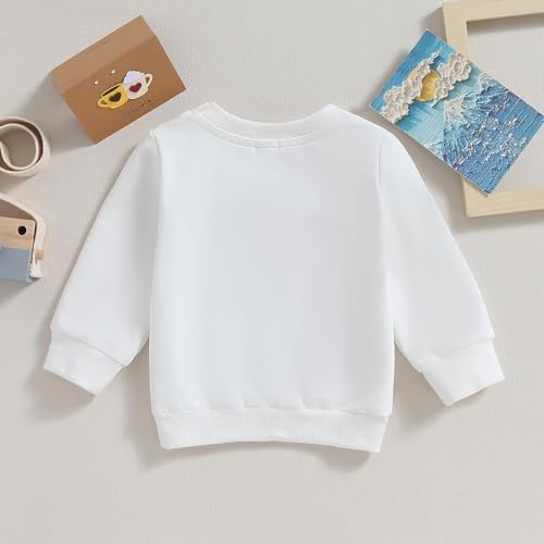 Image of Baby Boy Girl Pumpkin Sweatshirt Tops Toddler Halloween Outfit Long Sleeve Crewneck Pullover Sweater Shirt Fall Clothes