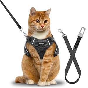 Cat Harness, Cat Car Harness and Leash for Walking, Escape Proof Soft Adjustable Vest Harnesses for Cats, Easy Control Breathable Reflective Strips Harness, Kitten Harness and Leash Set, Black, S