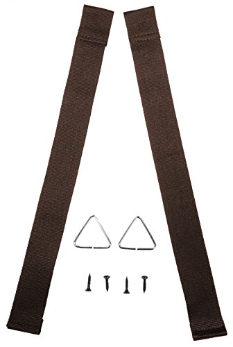 BioBubble Chameleon Cantina Hanging Kit Ornament