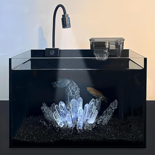 LONGRUI 黒背景 ベタ水槽 おしゃれ クリアガラス 飼育用ベタ 金魚 熱帯魚 小型 ブラック クリアガラス アクアリウム リビング用 ベタ専用設計 フレームレス水槽 の商品画像 5