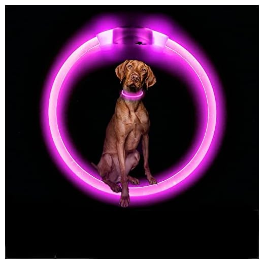 Collar Luminoso Perro, SerDa-Run Collar Perro, Collar Led Perro Recargable Tamaño Ajustable para Perros Pequeños Medianos Y Grandes Collar Perro Luminoso con Tres Modos Mantener A Su Perro Seguro