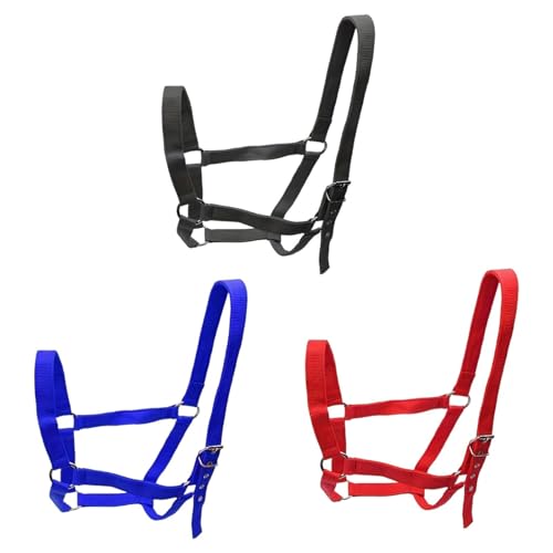 Licol pour chevaux de concours avec ajustement ergonomique gorge et menton