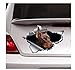 QQYYYT Adesivi Auto 15Cm Brown Doberman Adesivo per Auto Doberman Decalcomania Doberman Magnete Cane Adesivo Decorazione Auto