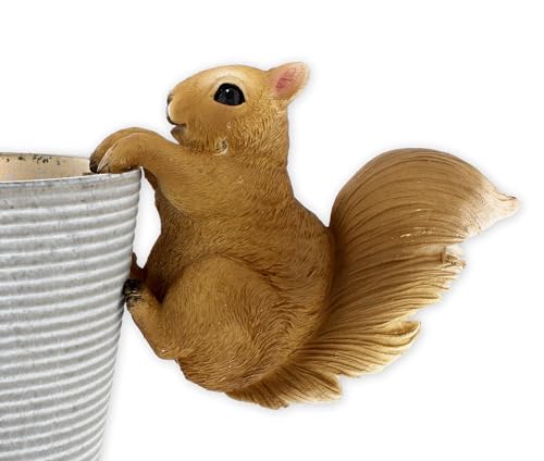 The Bridge Collection Decorative Cute Squirrel Pot Hanger (Red)