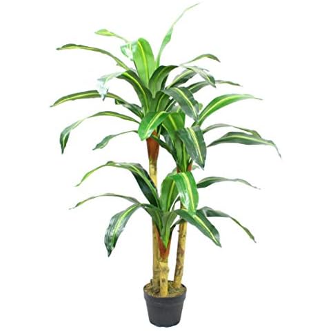 FloralStem 4 ft Artificial Dracaena Yucca Plant Tree - Exotic Potted for Home and Office Cover