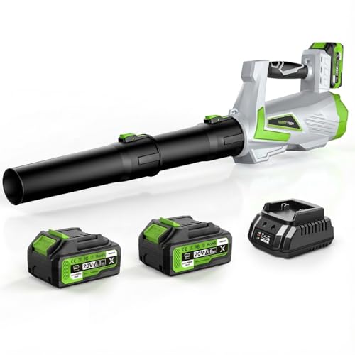 LUCKYTECH Leaf Blower Cordless, 5-Speed Leaf Blowers 2 x