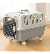 Amazon | N&S ペットキャリー Sサイズ 猫用 小型犬 航空用 ハード