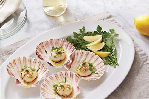 Nantucket Seafood Natural Baking Sea Shells, 5-Inch, Set Of 4 #TOP1