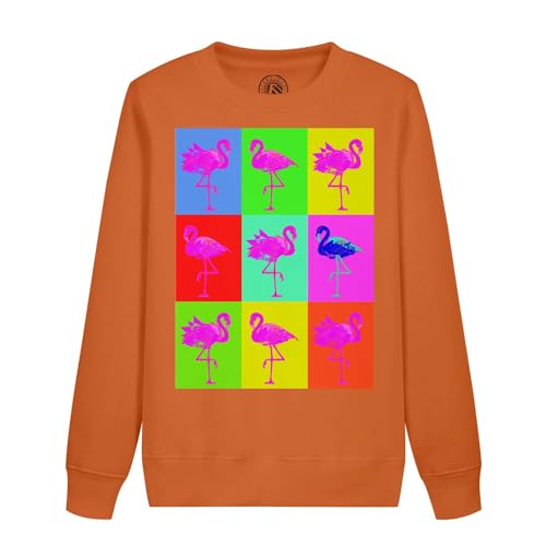 Sweatshirt enfant flamants roses moderne pour les après-midi de jeux au parc