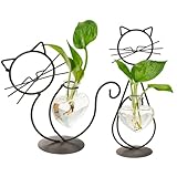 Vases en forme de cœur en verre : comprend deux vases de propagation en forme de cœur en verre transparent qui mettent parfaitement en valeur les racines et les boutures, augmentant ainsi la visibilité pour une croissance plus saine des plantes.