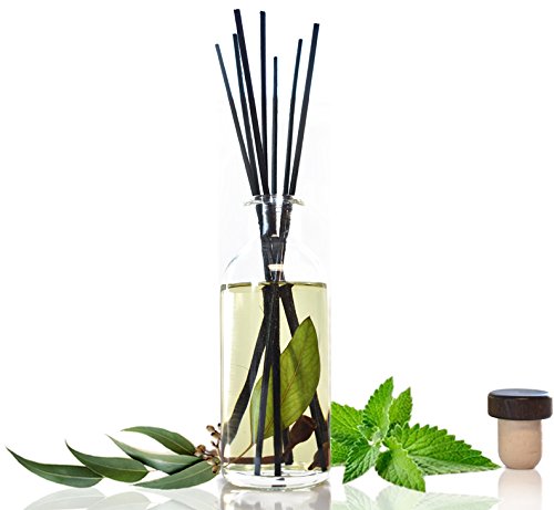 Urban Naturals Difusor varillas con recarga 4 oz miniatura 6