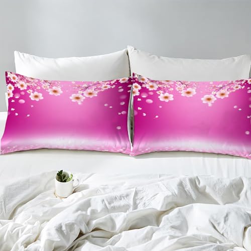 Housse de Couette 220x240 Fermeture Éclair Microfibre Sans Repassage