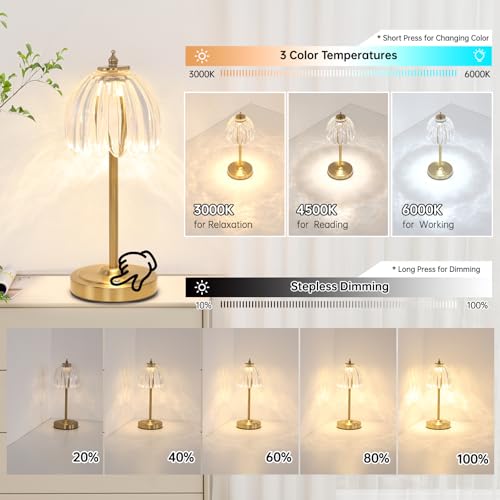 Image of Shenmoyl Set of 2 Tulip Table Lamp with 5000mAh Battery & Touch Control, Cordless Table Lamp with 3 Colors, Dimmable Rechargeable Table Lamps for Bedroom, Living Room, Entryways (Transparent Tulip)
