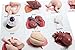 Curious Minds Busy Bags Montessori Human Organ Match - Miniature Body Parts with Cards to Match - Early Childhood Biology Learning Toy