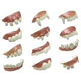 Cubierta de dentaduras postizas: dentaduras postizas de plástico que dan vida a la diversión, accesorios de cosplay para fiestas