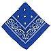 Classic Blue Paisley Bandana - 20