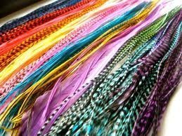 (60) 7-10 Individual Vivid Color Grizzly & Solid Feathers with 40 Beads