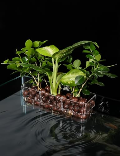 Image of 1 Pack Clear Aquarium Plant Holder Top Hanging Fish Tank Plant Holders Fits up to 0.8in Tank Edges, Aquarium Decor