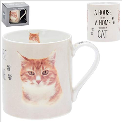 Ginger Cat Ceramic Fine China Mug with The Words A House is not a Home Without a Cat - Gift Boxed