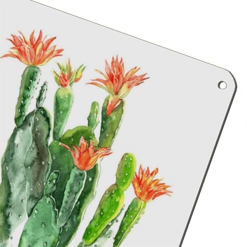 Affiche rétro en métal cactus cadeau déco idéal format 20x30