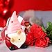 Menkxi 2 Pcs Valentine Gnomes Love Resin Swedish Statue Heart Envelope Valentines Day Decor Sweet Elf Small Figurines for Valentine's Day Home Indoor Kitchen Table Tray Decorations Him Her Gifts