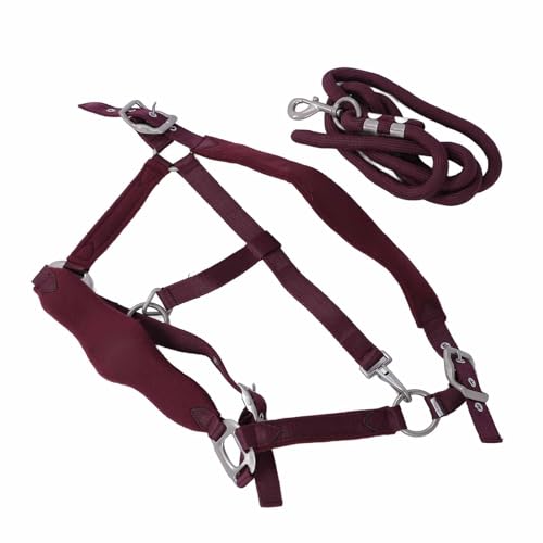 Cabestro de entrenamiento antifricción y suave para caballo