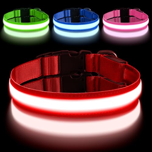 AUAUY Collare Luminoso per Cani, Collare Luminoso per Cani Ricaricabile USB, Collare per Cani a LED Regolabile Lmpermeabile con 3 Modalità D'ardore, per Cani di Taglia Media(S, Rosso)